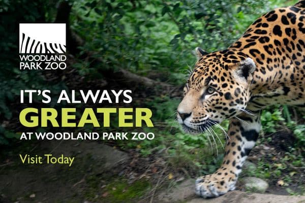 Display ad for the Woodland Park Zoo